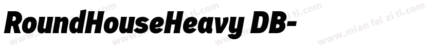 RoundHouseHeavy DB字体转换